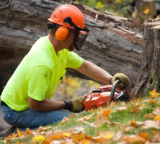 tree services Granby